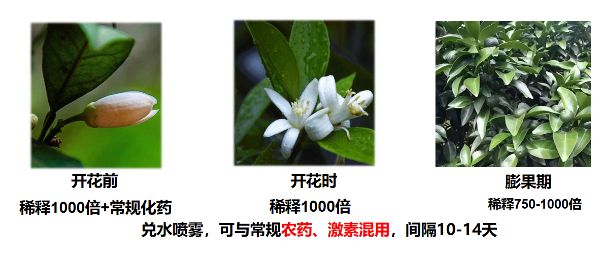 圖片14.png