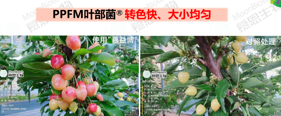圖片18.png