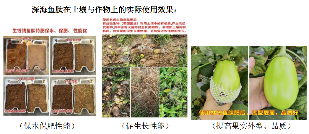 微信截圖_20230511172303.png