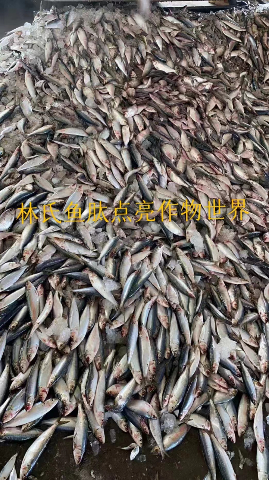 微信圖片_20230512083855.jpg