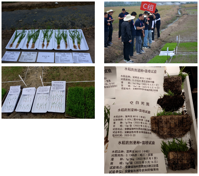 微信截图_20230523085039.png