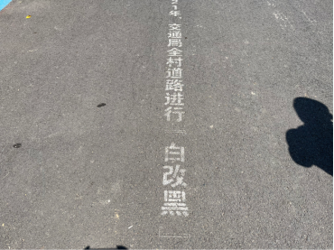 宰灣村165.png