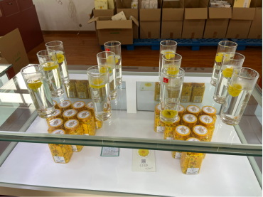 云臺冰菊327.jpg