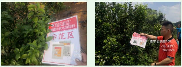 微信截圖_20230603093210.png