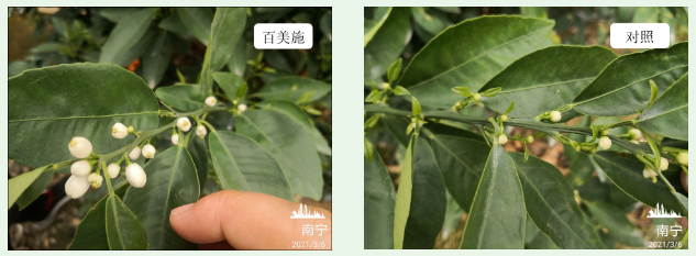 微信截圖_20230603093149.png