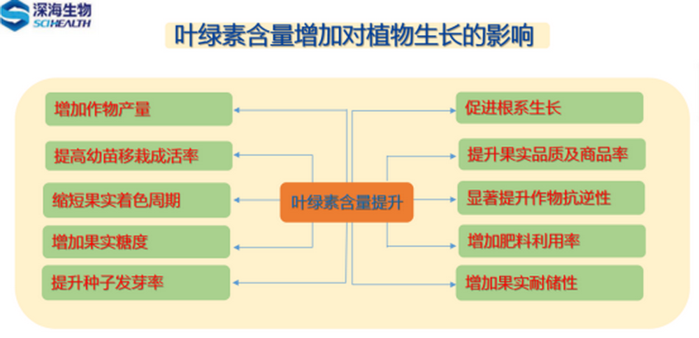 邹志荣：5-氨基乙酰丙酸(5-ALA）及其在现代高效农业上的应用419.png