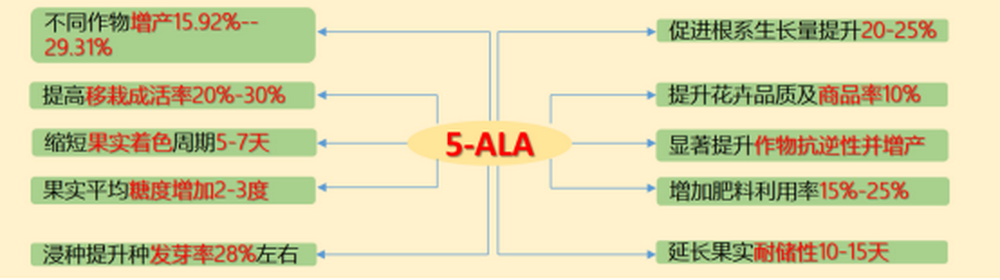 鄒志榮：5-氨基乙酰丙酸(5-ALA）及其在現(xiàn)代高效農(nóng)業(yè)上的應(yīng)用889.png