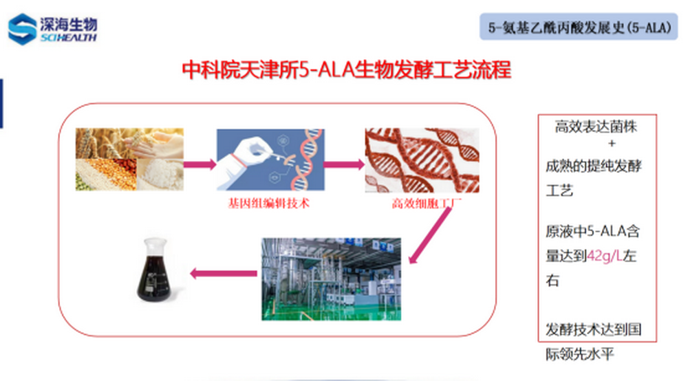 鄒志榮：5-氨基乙酰丙酸(5-ALA）及其在現(xiàn)代高效農(nóng)業(yè)上的應(yīng)用1079.png