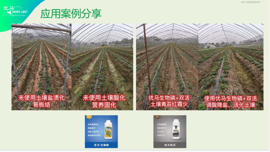李志勇：MTC核心技术在辽宁经作区应用解读982.jpg