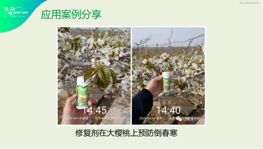 李志勇：MTC核心技术在辽宁经作区应用解读1315.jpg