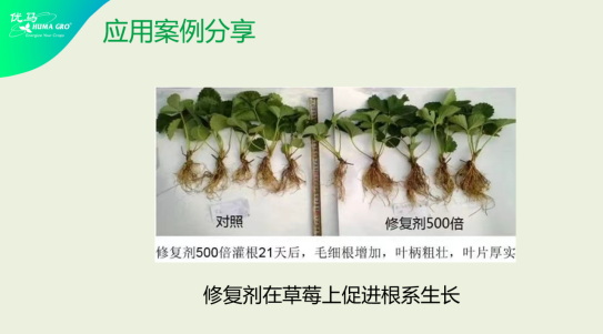 李志勇：MTC核心技术在辽宁经作区应用解读1317.jpg