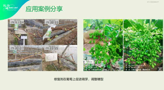李志勇：MTC核心技术在辽宁经作区应用解读1319.jpg