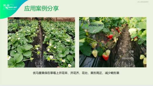 李志勇：MTC核心技术在辽宁经作区应用解读1436.jpg