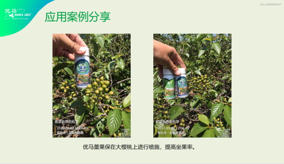 李志勇：MTC核心技术在辽宁经作区应用解读1440.jpg