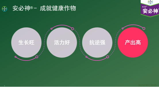 趙志偉：拜耳“安卓”組合在在高價值經濟作物效果展示877.jpg
