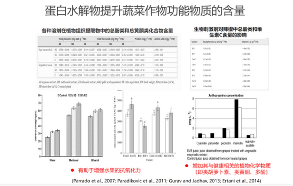 陳清：功能水溶性肥料在果蔬優質生產中的應用1094.jpg