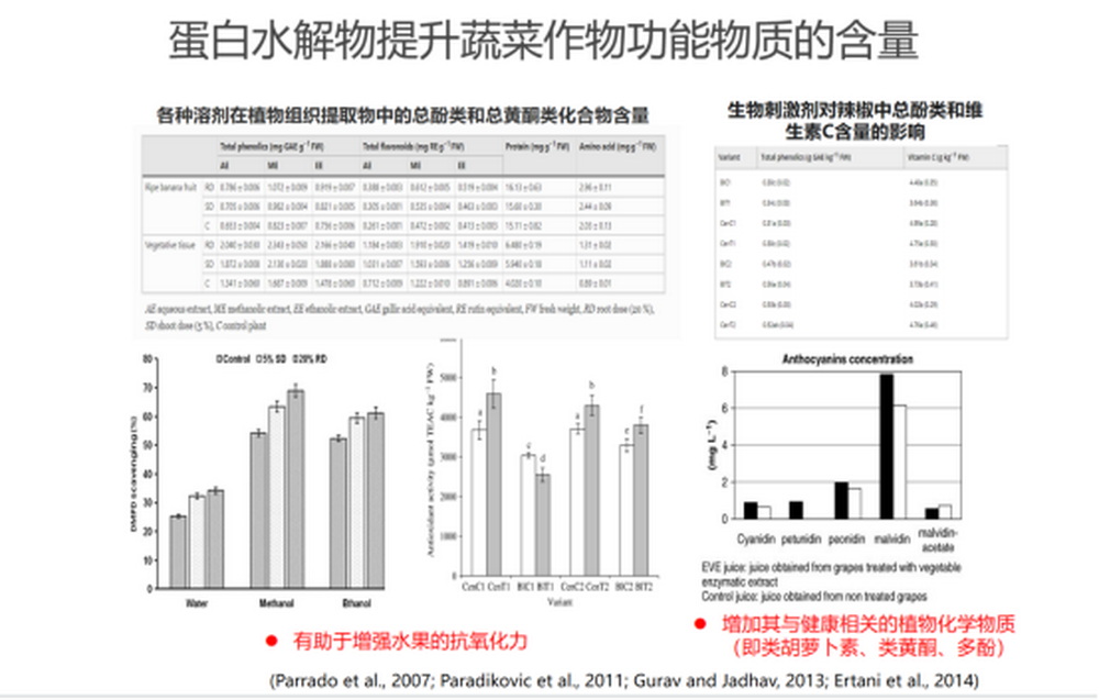 陈清：功能水溶性肥料在果蔬优质生产中的应用1094.jpg