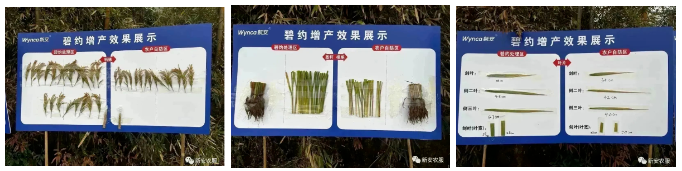 微信截图_20230712093017.png