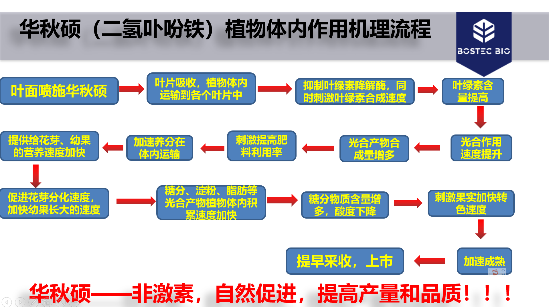 圖片17.png