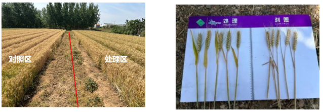 微信截圖_20230809085814.png