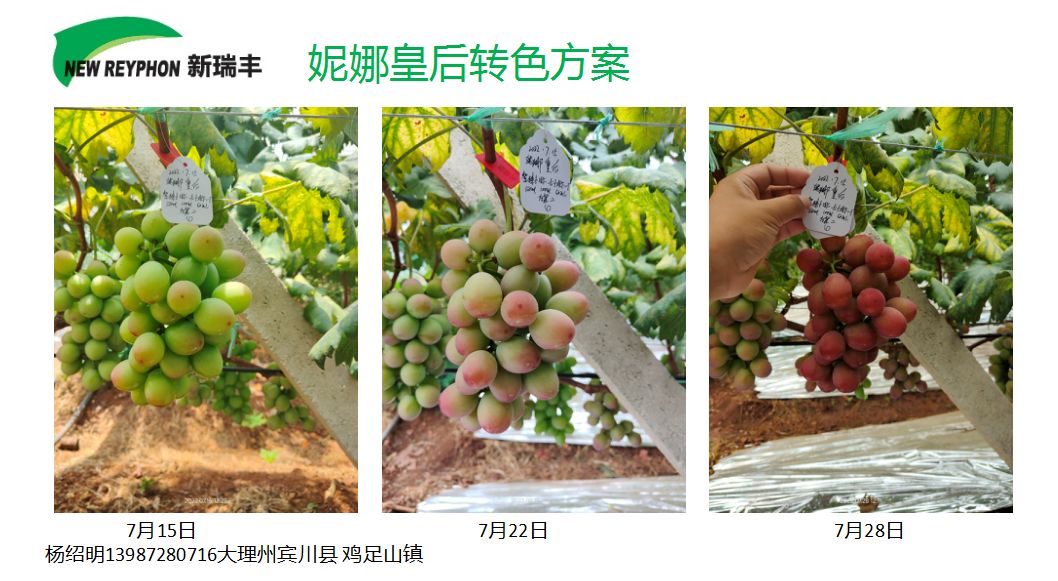 圖片 10.jpg