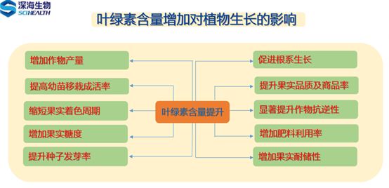 圖片 2(1).jpg