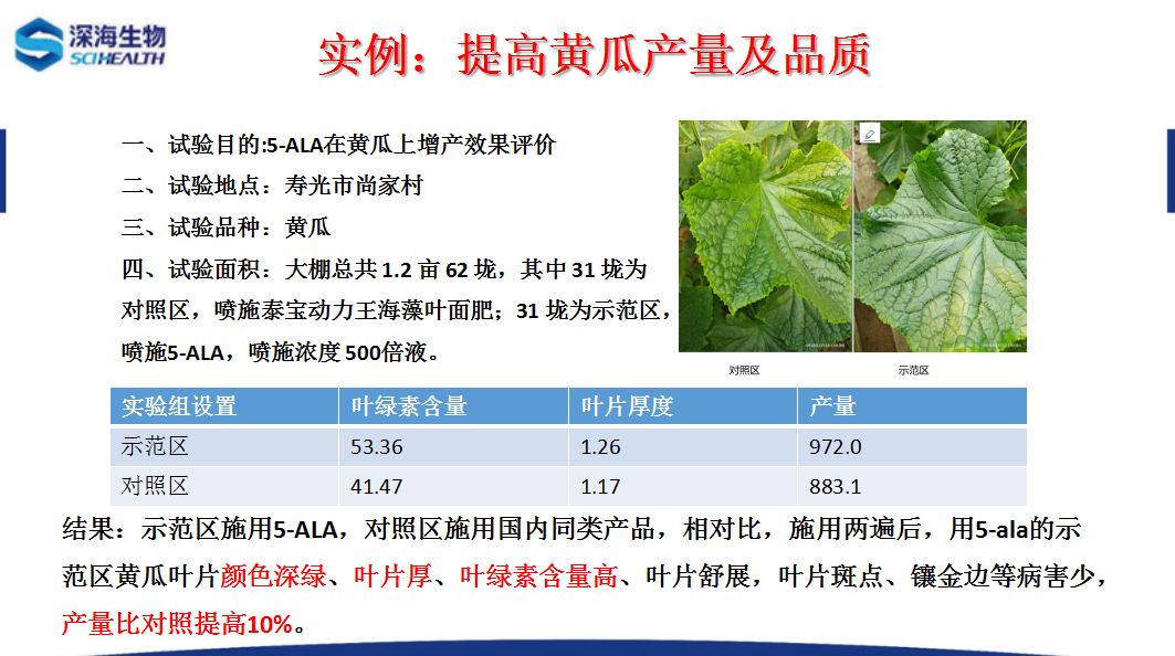圖片 3.jpg
