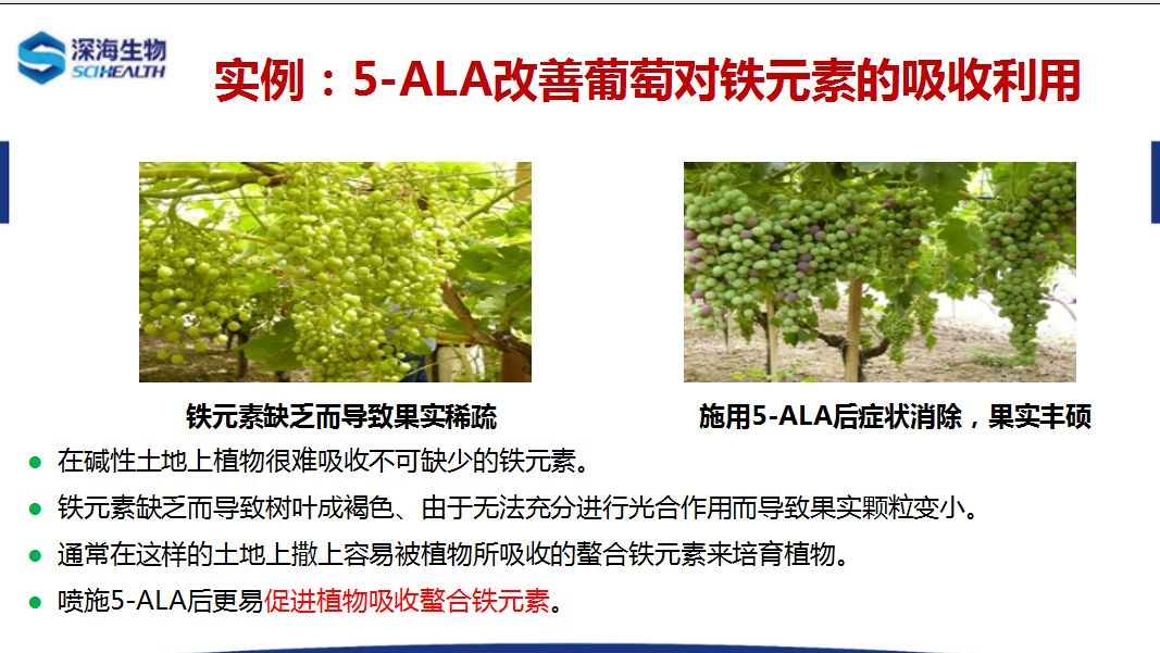 圖片 6.jpg