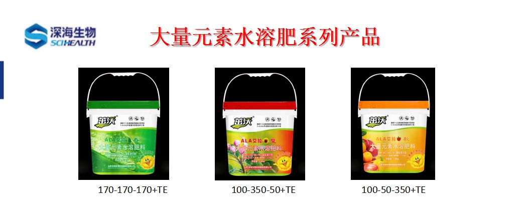 圖片 7.jpg