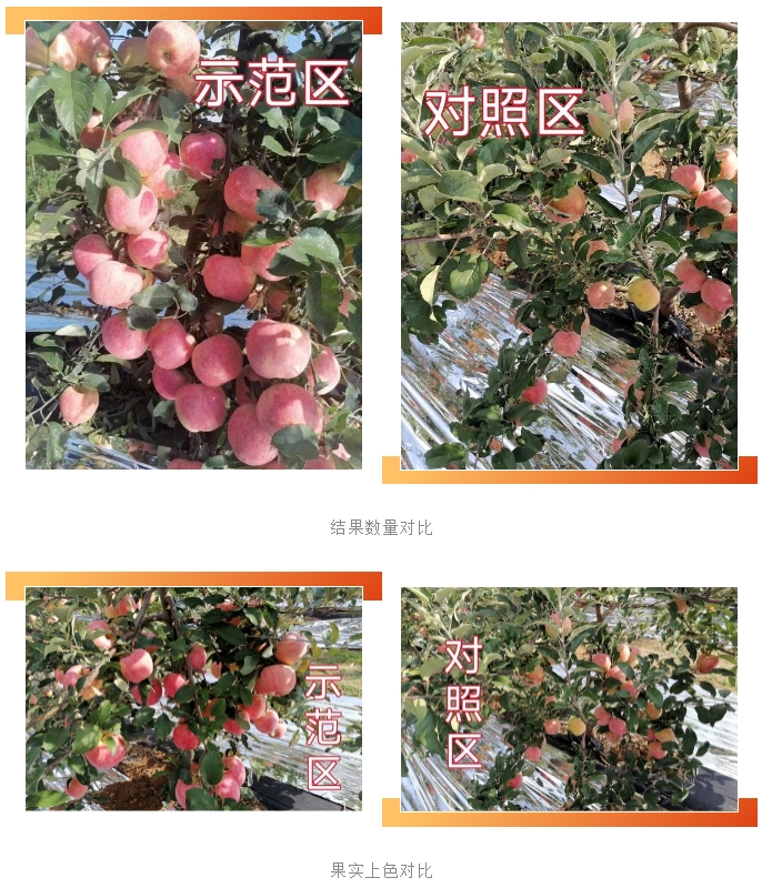 微信截图_20231017085753.png