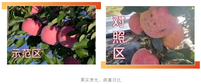 微信截图_20231017085813.png