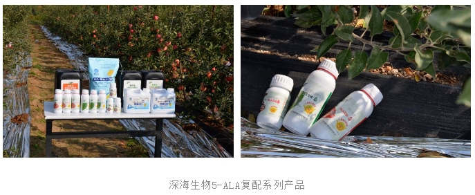 微信截图_20231017085857.png