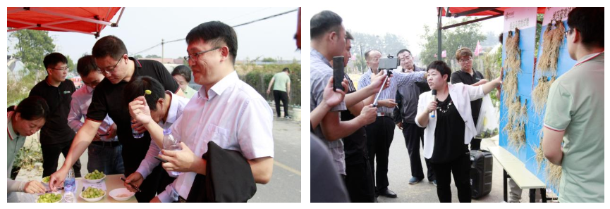 微信截图_20231017211718.png