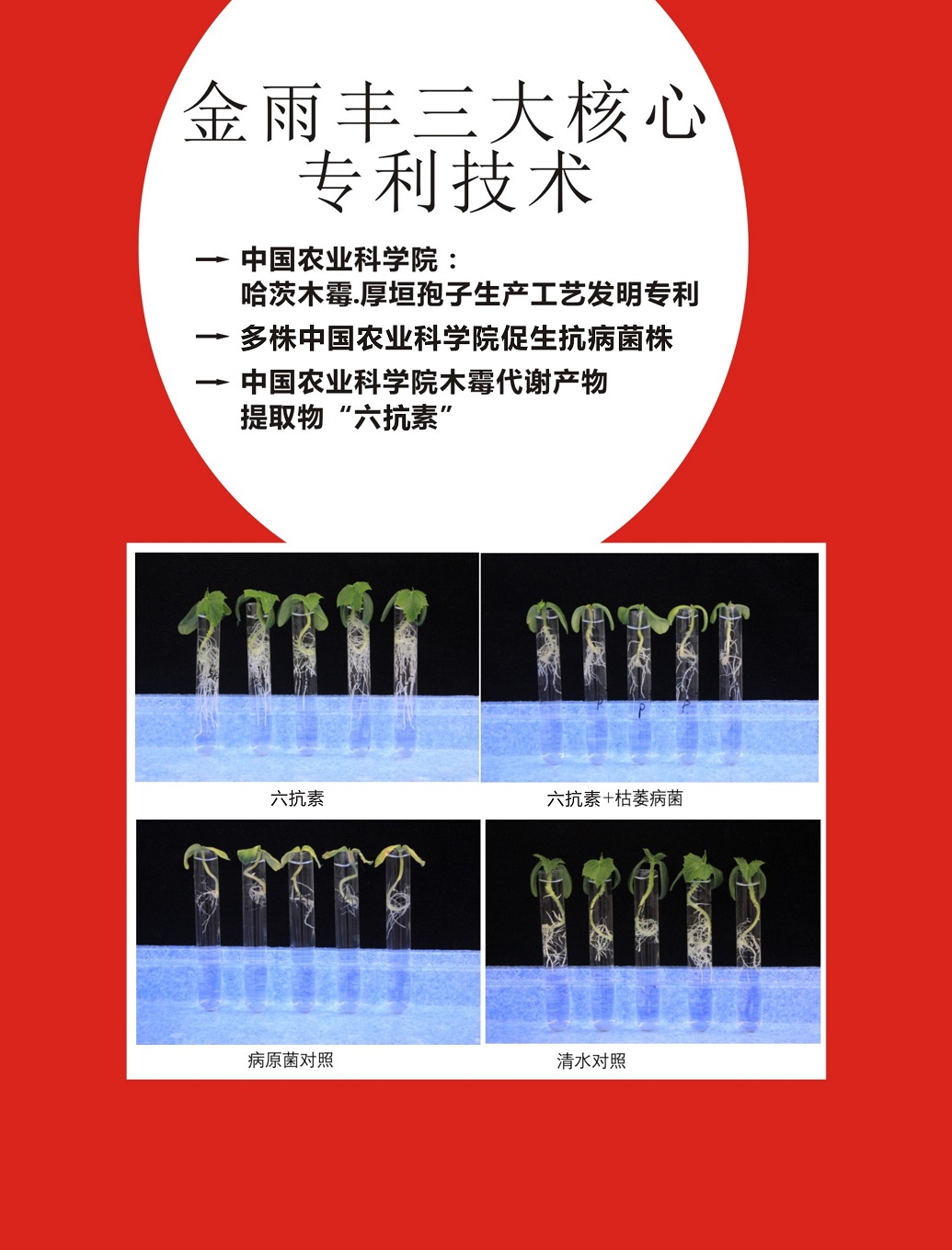 微信图片_20231025140929.jpg