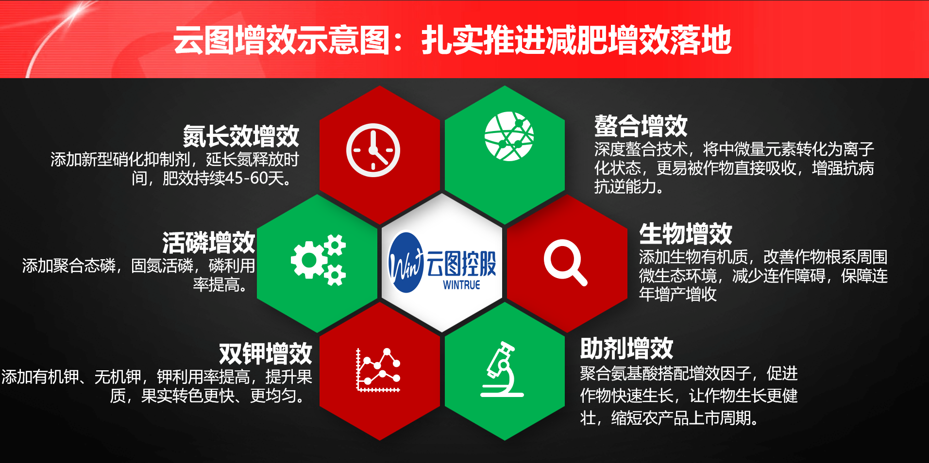 图片24.png