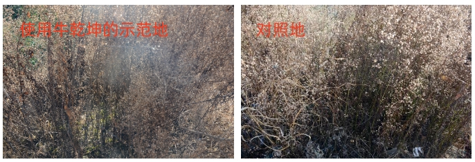 微信截图_20231108090805.png