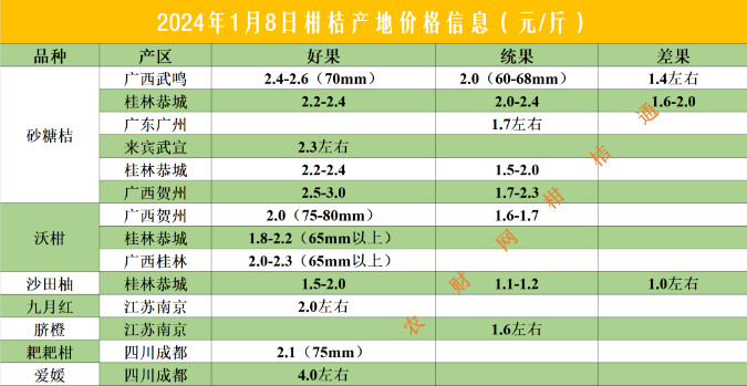 柑橘行情.jpg