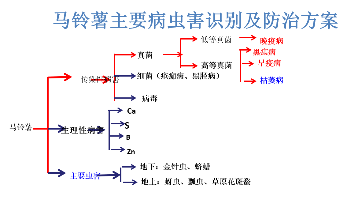 图片22.png