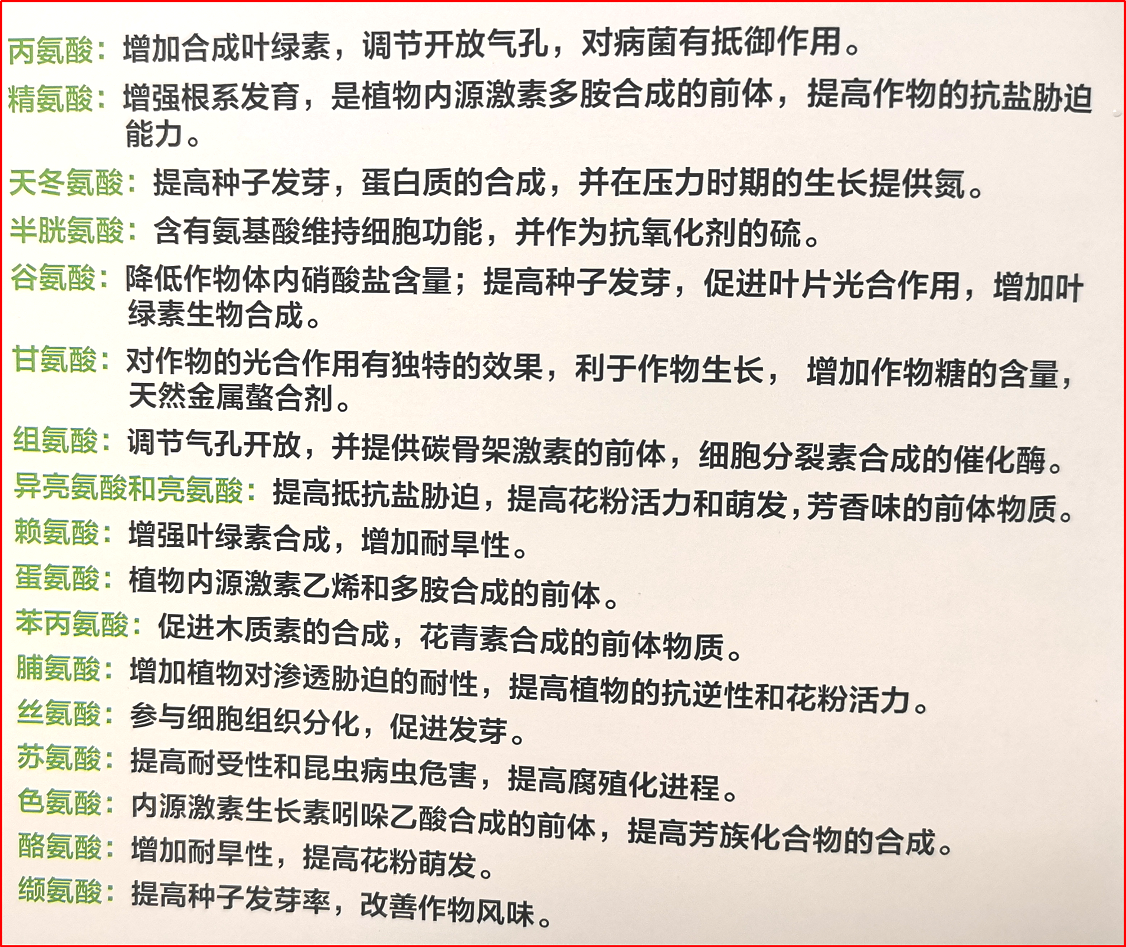 图片13.png