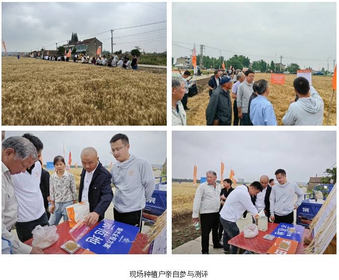 微信截图_20240606090831.png