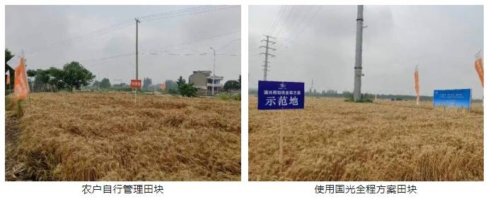 微信截图_20240606090816.png