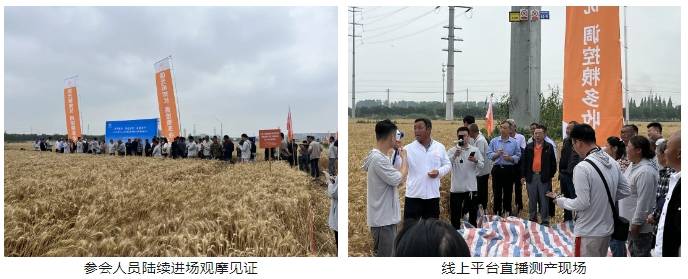 微信截图_20240606090808.png