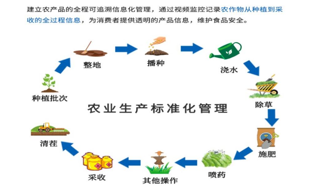 图片 4.jpg