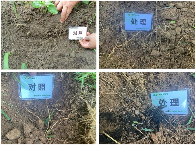 微信截图_20241112093051.png