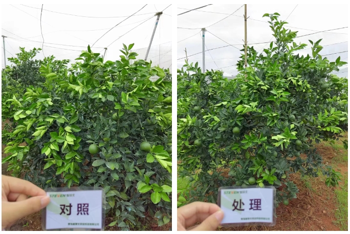 微信截图_20241112093106.png