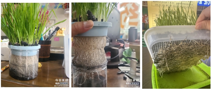 微信截图_20241112093132.png
