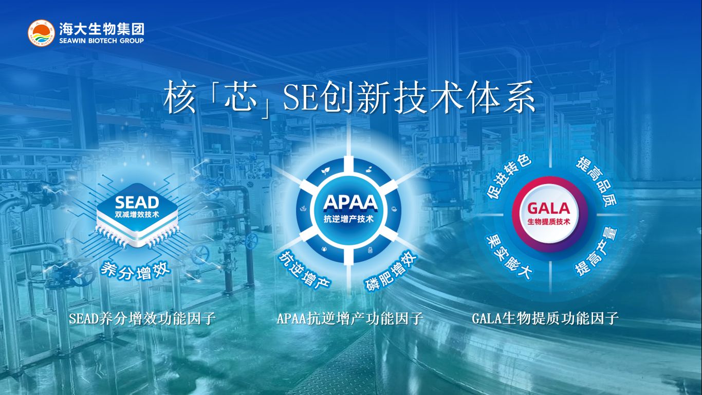 图片 5.jpg