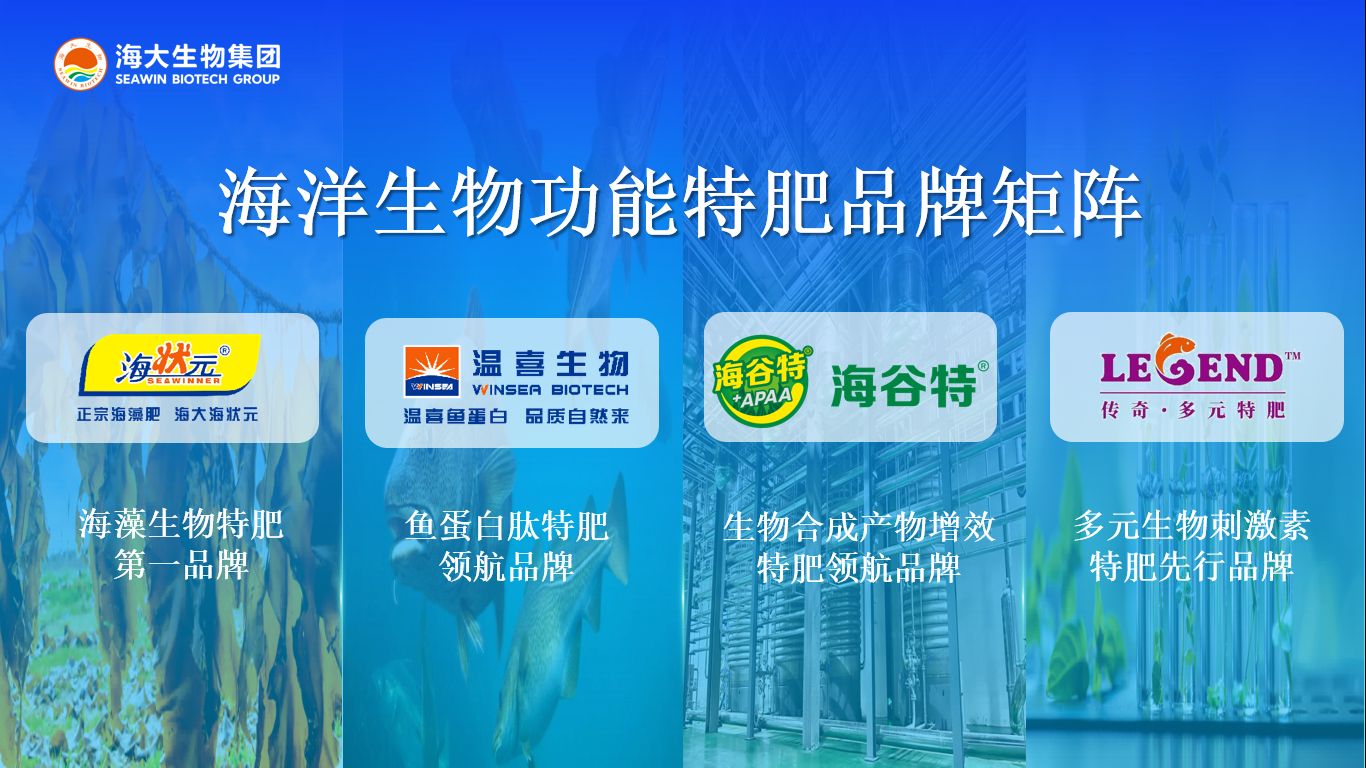 图片 8.jpg