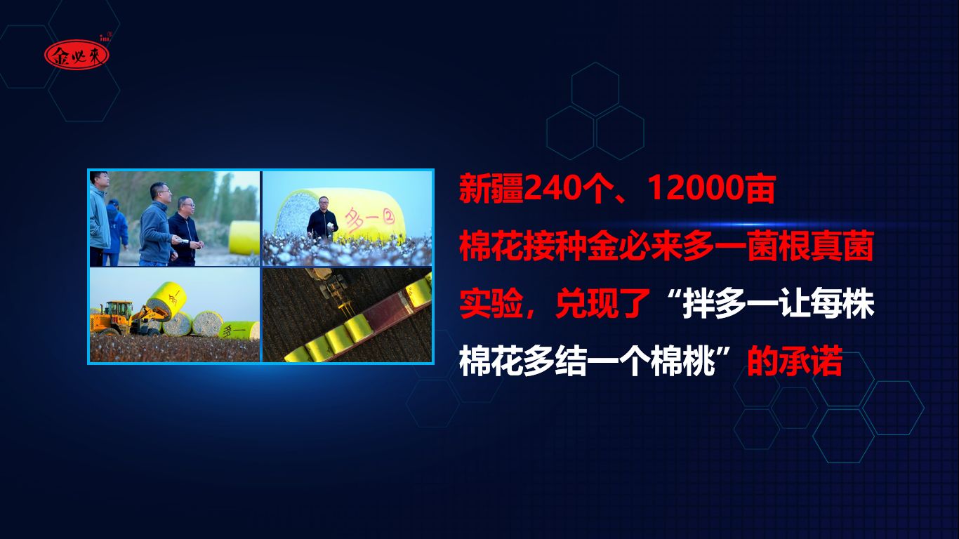 图片 4.jpg