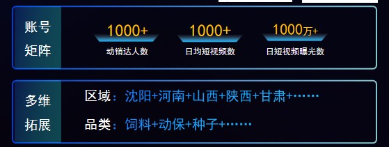 图片 4.jpg